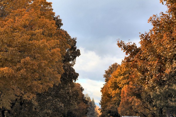 fall02
