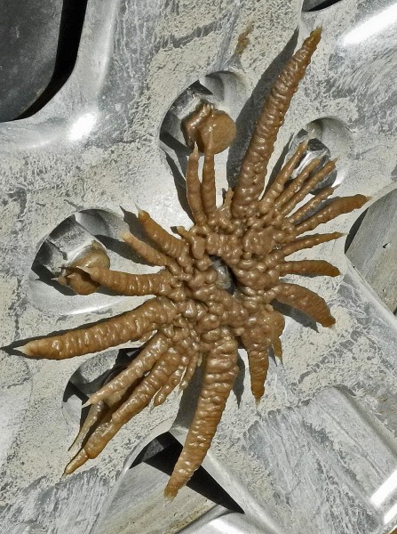 Day1310702