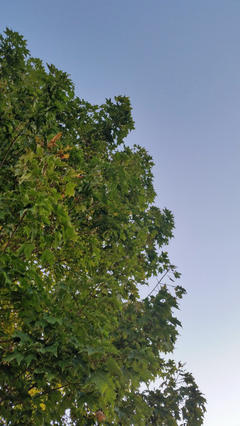 Day1521405